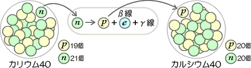 図８カリウム４０のベータ線とガンマ線放出