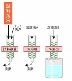 イオン交換分離の図解