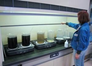 海水からの硫化物法によるCo60等の捕集